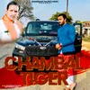 Chambal Tiger